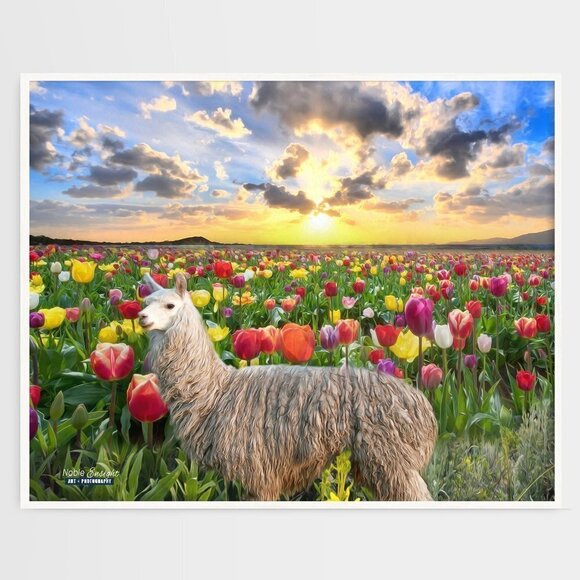 NobleCaptures Other - 16x20 Suri Alpaca Field of Flowers Sky Landscape Fantasy Oil Painting‎ Art Print